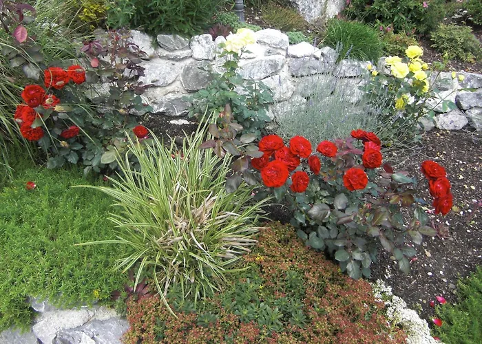 Haus Rosengarten Appartamento *